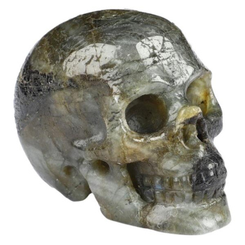 Skull Labradorit